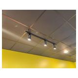 Ceiling Track Lighting Fixtures