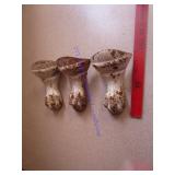 CLAW FEET