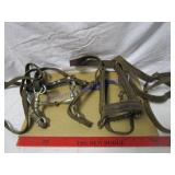 HALTERS AND BRIDLE