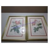 PICTURES & FRAMES