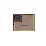 Tract 2, 24 acres