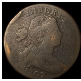 1802 Draped Bust Large Cent NICELY CIRCULATED