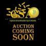 May 21st - 24th Chicago Consultant Coin Auction