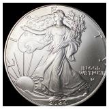2024-W 1 oz Silver American Eagle $1 SUPERB GEM BU