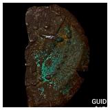 Judaea Herod I 37-4 BC Bronze 1/2 Prutah