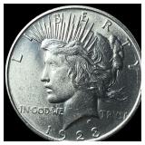 1923 Peace Silver Dollar UNCIRCULATED