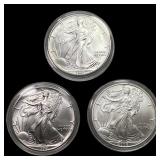 [3] 1991-2006 Silver Eagle