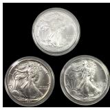 [3] 1991-2007 Silver Eagle