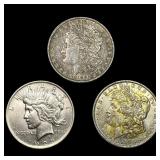 [3] 1884-1923 Morgan & Peace Silver Dollar Lot
