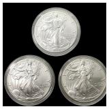[3] 2000 Silver Eagle