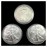 [3] 2023-2024 Silver Eagle