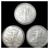 [3] 2024 Silver Eagle