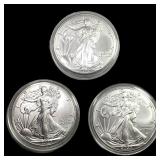 [3] 2023 Silver Eagle