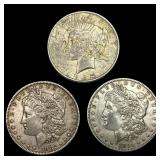 [3] 1880-1925 Morgan & Peace Silver Dollar Lot