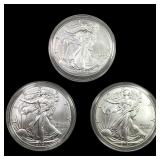 [3] 2024 Silver Eagle