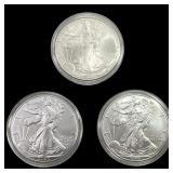 [3] 1999-2023 Silver Eagle