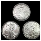 [3] 2024 Silver Eagle