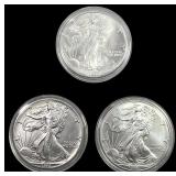 [3] 1990-1999 Silver Eagle