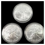 [3] 2006 Silver Eagle