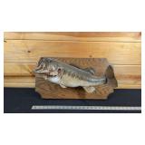 BASS MOUNT