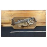 BASS MOUNT
