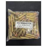 223 REM (100 rounds)