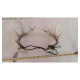 ANTLERS