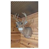 BUCK MOUNT