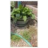 PLASTIC PLANTER