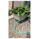 PLASTIC PLANTER
