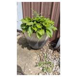 PLASTIC PLANTER