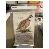 1923 Coca-Cola Pheasant Card