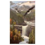 Eagle Print by Kevin Daniel