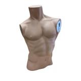 Torso Male Mannequin by Silverstri