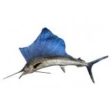 Large 96 Inch Sailfish Taxidermy Mount