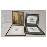Framed Walter Hooke Bird Prints and Roman Scene Ar