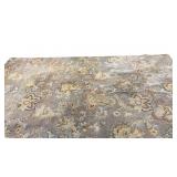 Floral Pattern Area Rug with Neutral Tones