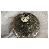 Polished Ammonite Orthoceras Fossil Stone Crystal