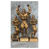 Menï¿½s Bodybuilding Awards, Sculpted by