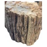 Petrified Wood Stump-Large