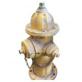 Mueller Co Fire Hydrant