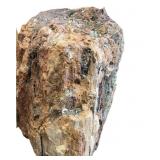 Petrified Wood Stump-Large