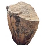 Petrified Wood Stump-Large