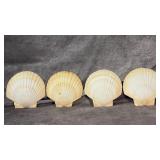 Set of 4 Vintage Collectible Natural Scallop