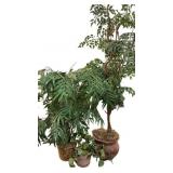 3 Artificial Plants /Trees