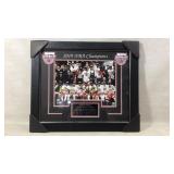 Toronto Raptors 2019 NBA Champions Framed Photo