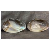 Vintage Iridescent Mother-of-pearl Freshwater