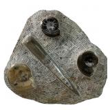 POLISHED ORTHOCERAS & AMMONITE FOSSIL DISPLAY