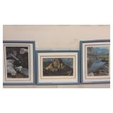 Framed Prints by Richard Kauffman, Gentle