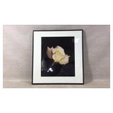 Framed Photograph of Yellow Rose With Dew Drops